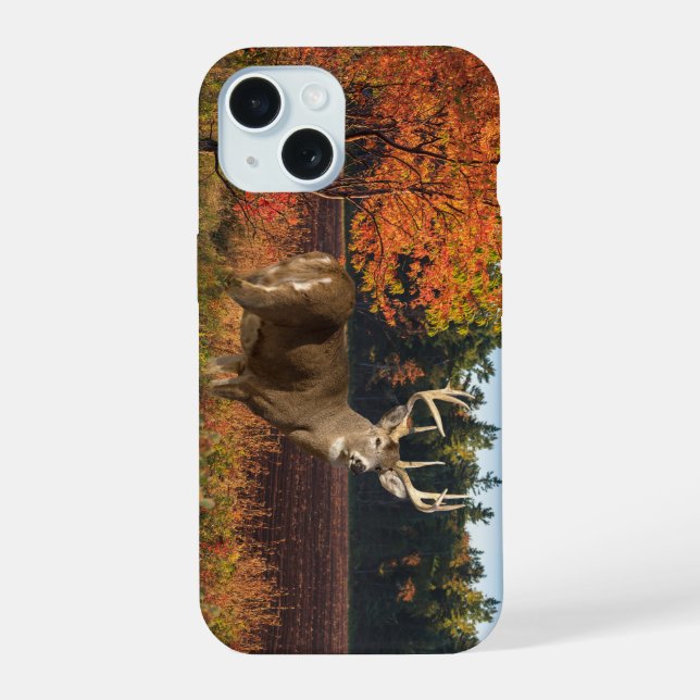 Bib Whitetail Buck frappe un poteau (Verso)