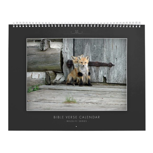 Bibel-Vers-Kalender-Tier-Reihe Kalender (Titelbild)