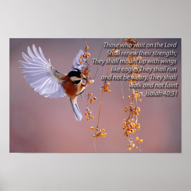 Bibel Verse Isaiah 40:31 mit Bird Motivierend Poster (Vorne)