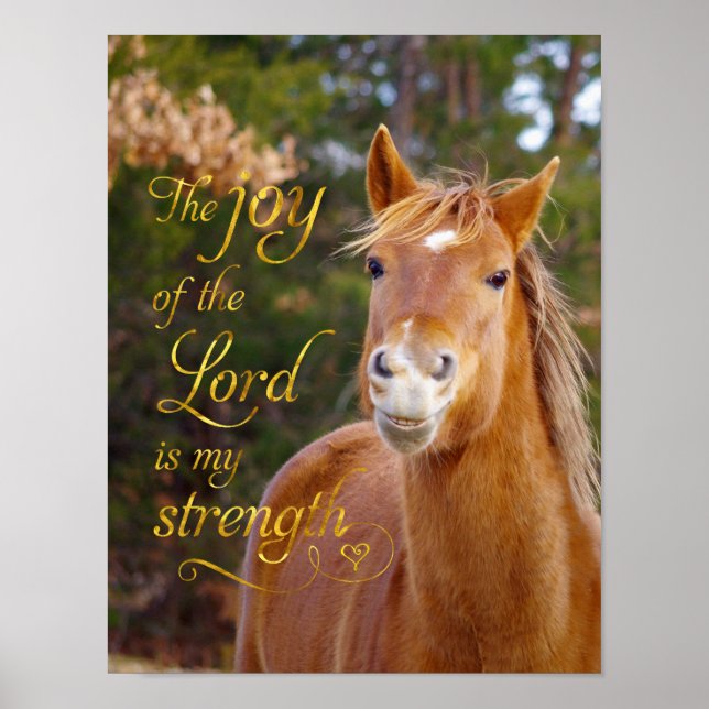 Bibel Verse Lächeln Kastanienpferd Poster (Vorne)