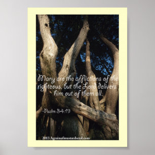 Bibelschrift Gebete Poster