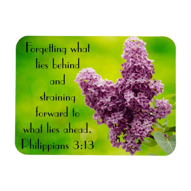 Bibelverse Ermutigung Philippinen 3:13 Magnet (Horizontal)