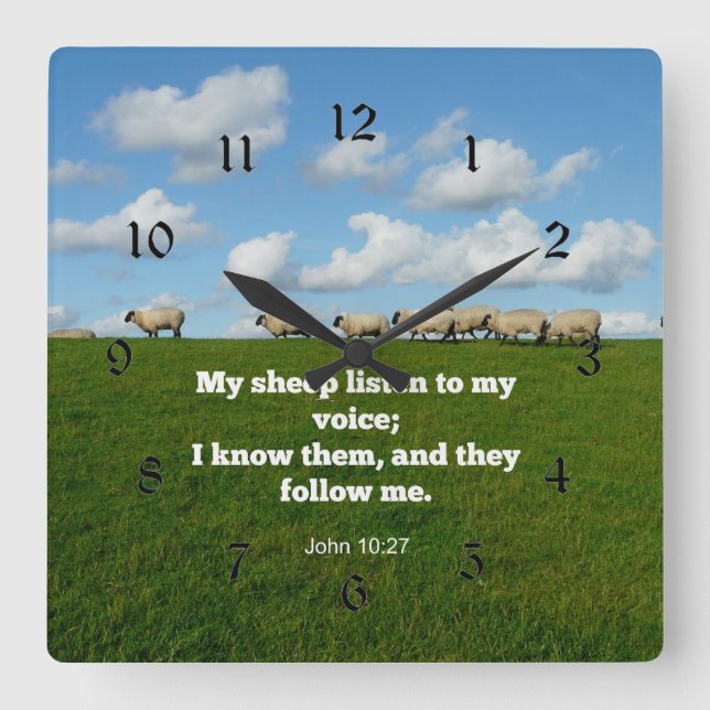 Bibelverse, John 10:27, Schafe, Quadratische Wanduhr (Vorderseite)