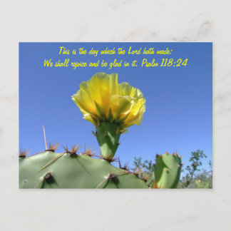 Bibelverse Postkartenkaktus Blume Postkarte