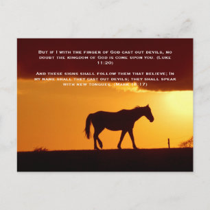 Bibelversen, ein Pferd im Sonnenuntergang Postkarte