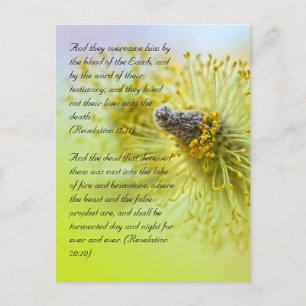 Bibelversen, Frühlingszeit Postkarte
