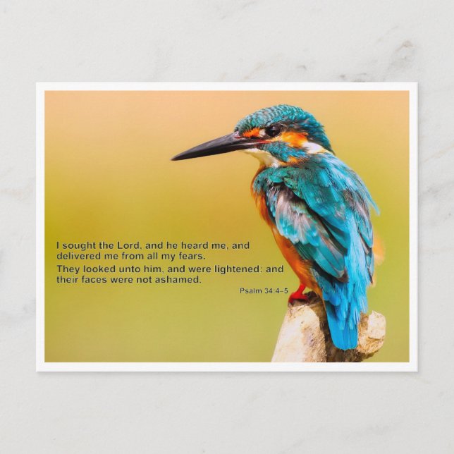 Bibelzitat - Psalm 34 Postkarte (Vorderseite)