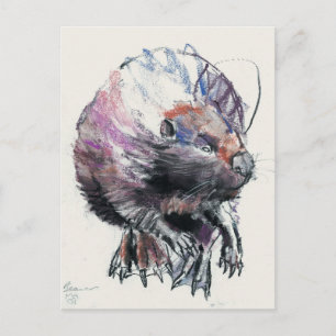 Biber 2001 postkarte