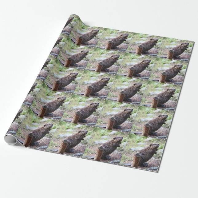 Biber Geschenkpapier (Ungerollt)