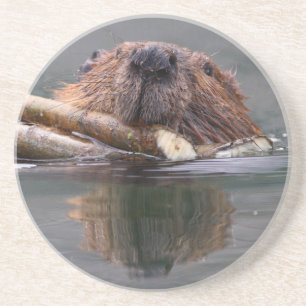 Biber Getränkeuntersetzer