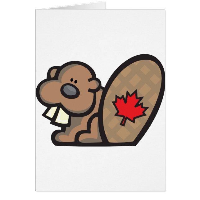 Biber Kanada (Vorne)