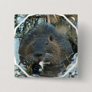 Biber-Lebensraum-Quadrat-Button Button