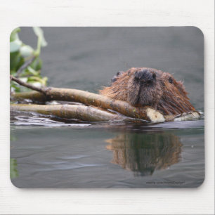 Biber Mousepad