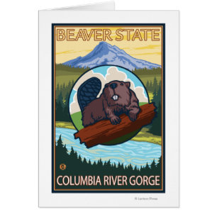 Biber u. Mt.-Haube - Columbia River Schlucht ODER