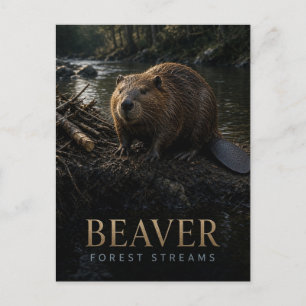 Biber Wald Bäche Wildtiere TIER Postkarte