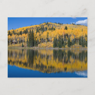 Bibersee im Herbst Postkarte