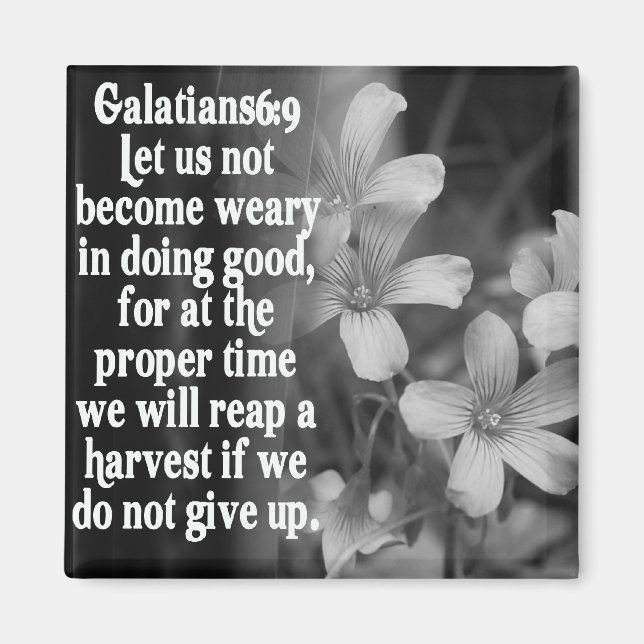 BIBLE SCRIPTURE GALATIANS 6:9 MAGNET (Vorne)