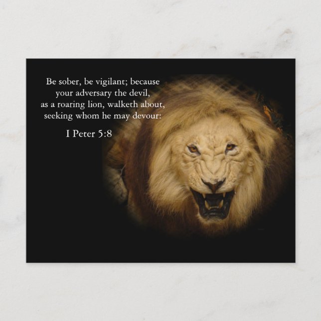 Bible Verse Memory Card Postkarte (Vorderseite)