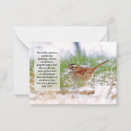 Bible Verse Scripting Note Card Sparrow KJV Mitteilungskarte