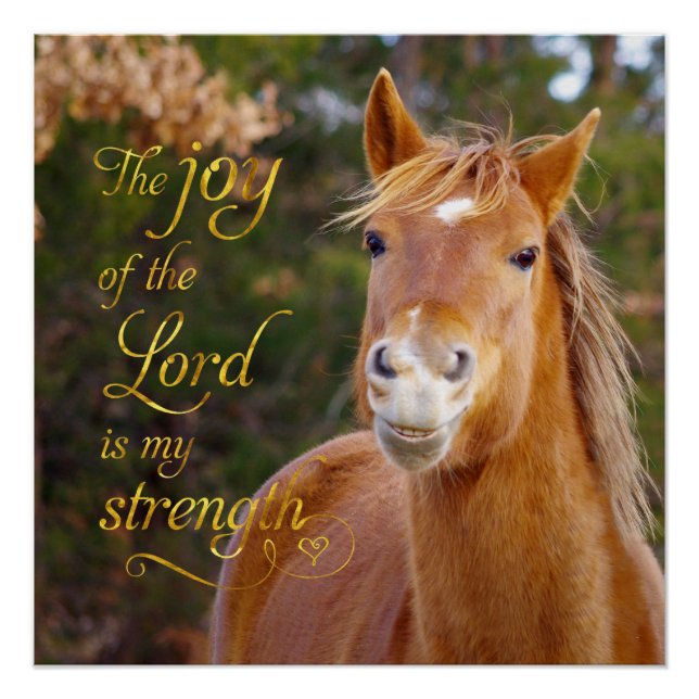 Bible Verse Souriant Chestnut Horse Perfect Poster (Devant)
