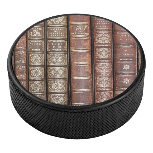 Bibliothek Eishockey Puck (3/4)