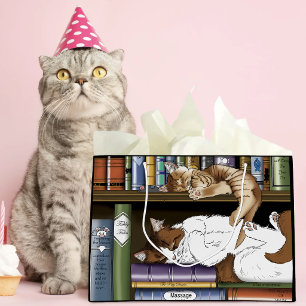 Bibliothek für Katzen buchen Große Geschenktüte