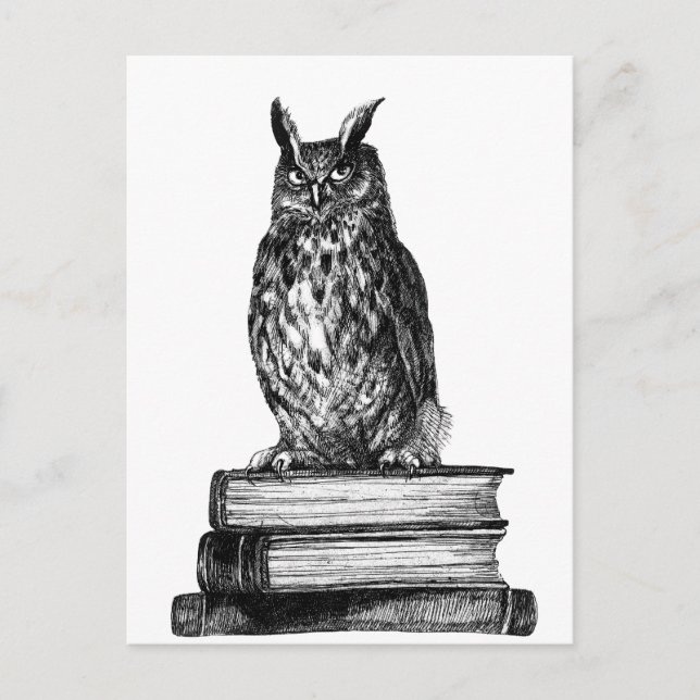 Bibliothekseule Postkarte (Vorderseite)