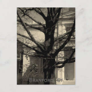 Bibliothèque, Branford, carte postale Ct