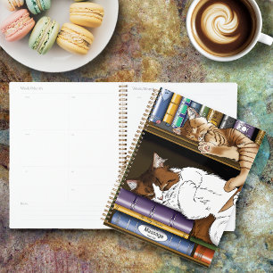 Bibliothèque de chats de plateau de livres
