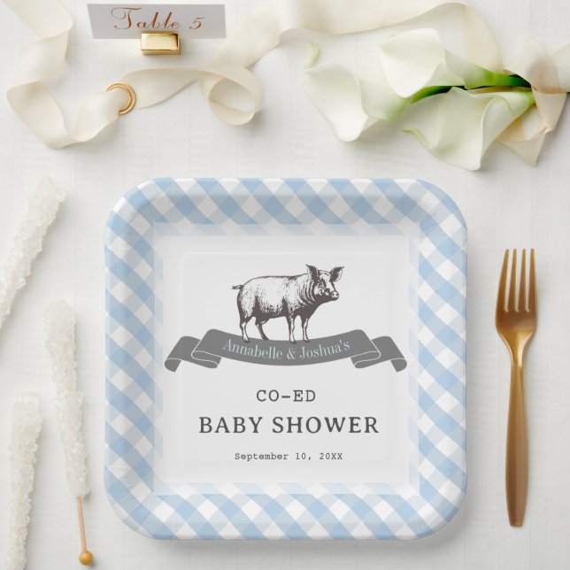 Bibs & Ribs GRILLEN Rustic Blue Gingham Baby Showe Pappteller (Hochzeit)