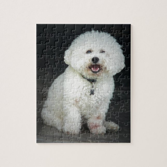 Bichon (Vertikal)