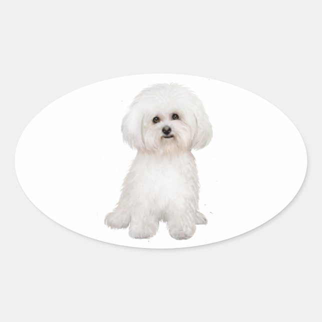 Bichon (B) Ovaler Aufkleber (Vorderseite)