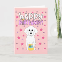 Bichon Birthday