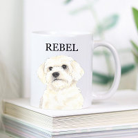 Bichon, Bolognese, Coton, Havanese, Maltesisch