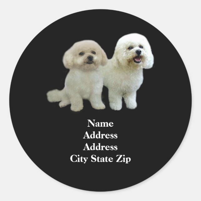 Bichon Buddies Adressetikett Runder Aufkleber (Vorderseite)