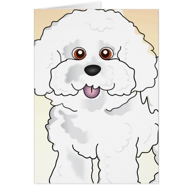 Bichon Frise (Vorne)