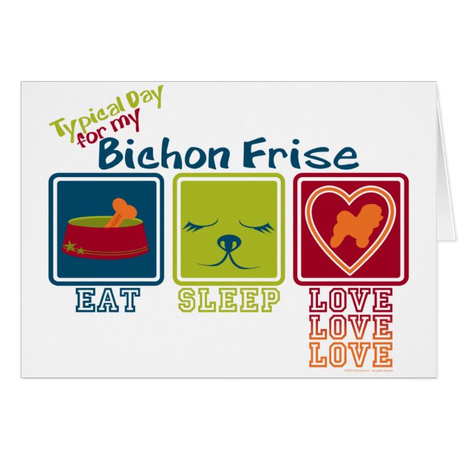 Bichon Frise (Vorderseite (Horizontal))