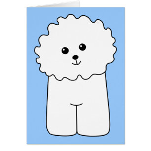 Bichon Frise.