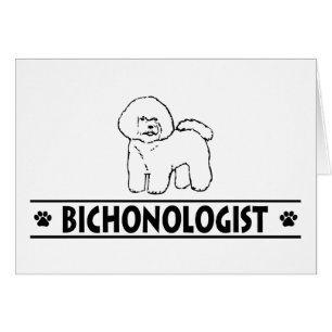 Bichon Frise