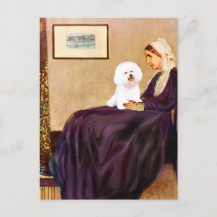 Bichon Frise 1 - Whistlers Mutter Postkarte