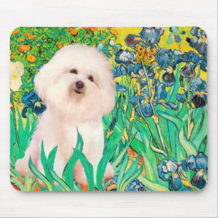 Bichon Frise 4 - Ire Mousepad