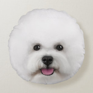 Bichon Frise a illustré autour du coussin