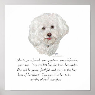 Bichon Frise Andenken WEIBLICH Poster