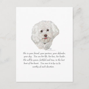 Bichon Frise Andenken WEIBLICH Postkarte