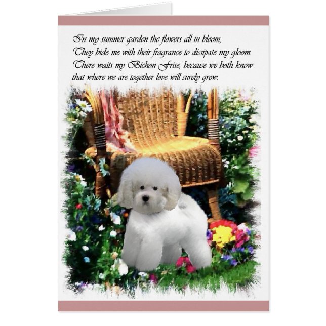 Bichon Frise Art Gifts (Vorne)