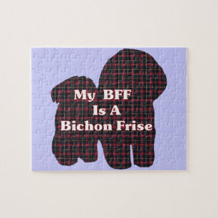 Bichon Frise BFF