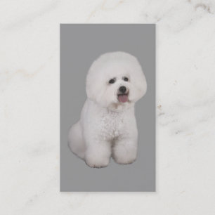 Bichon Frise Brüter-Visitenkarte Visitenkarte