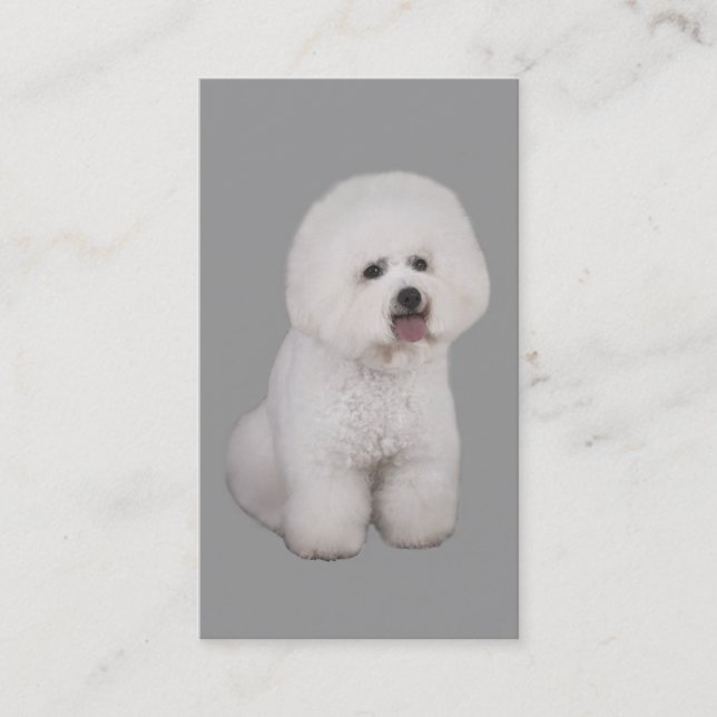 Bichon Frise Brüter-Visitenkarte Visitenkarte (Vorderseite)