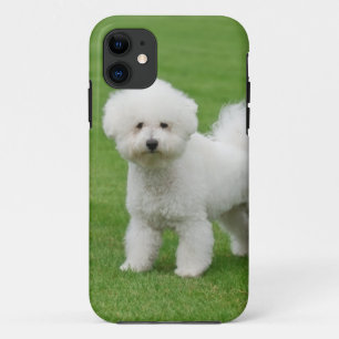 Bichon Frise title_seo2