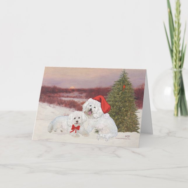 Bichon Frise Christmas Feiertagskarte (Vorderseite)
